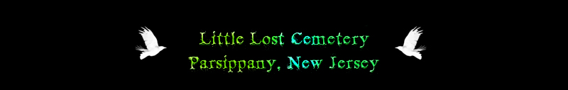 little lost cemetery